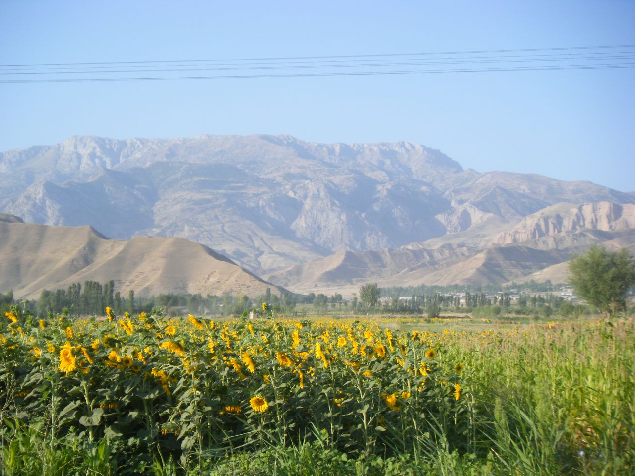 Демалик Таджикистан